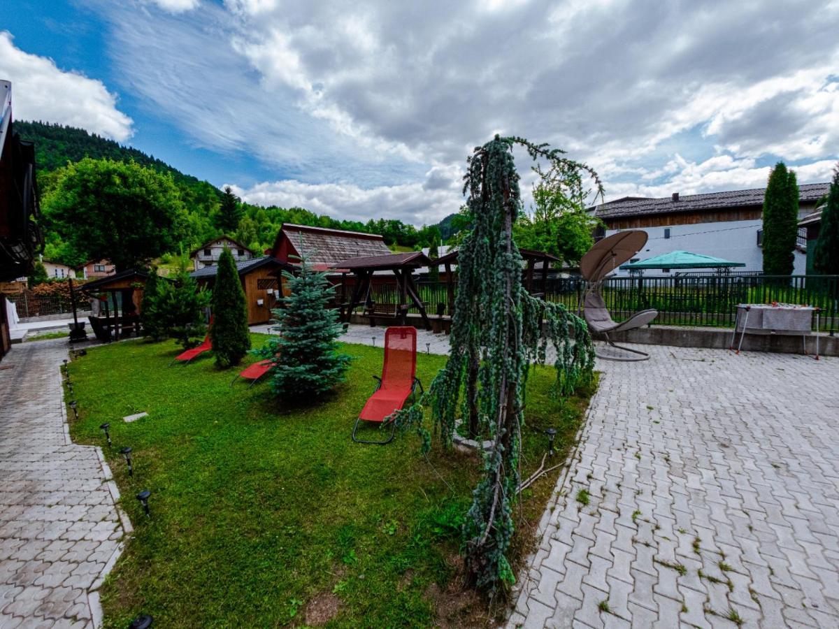 Pensiunea Alyna Borsa  Exterior photo