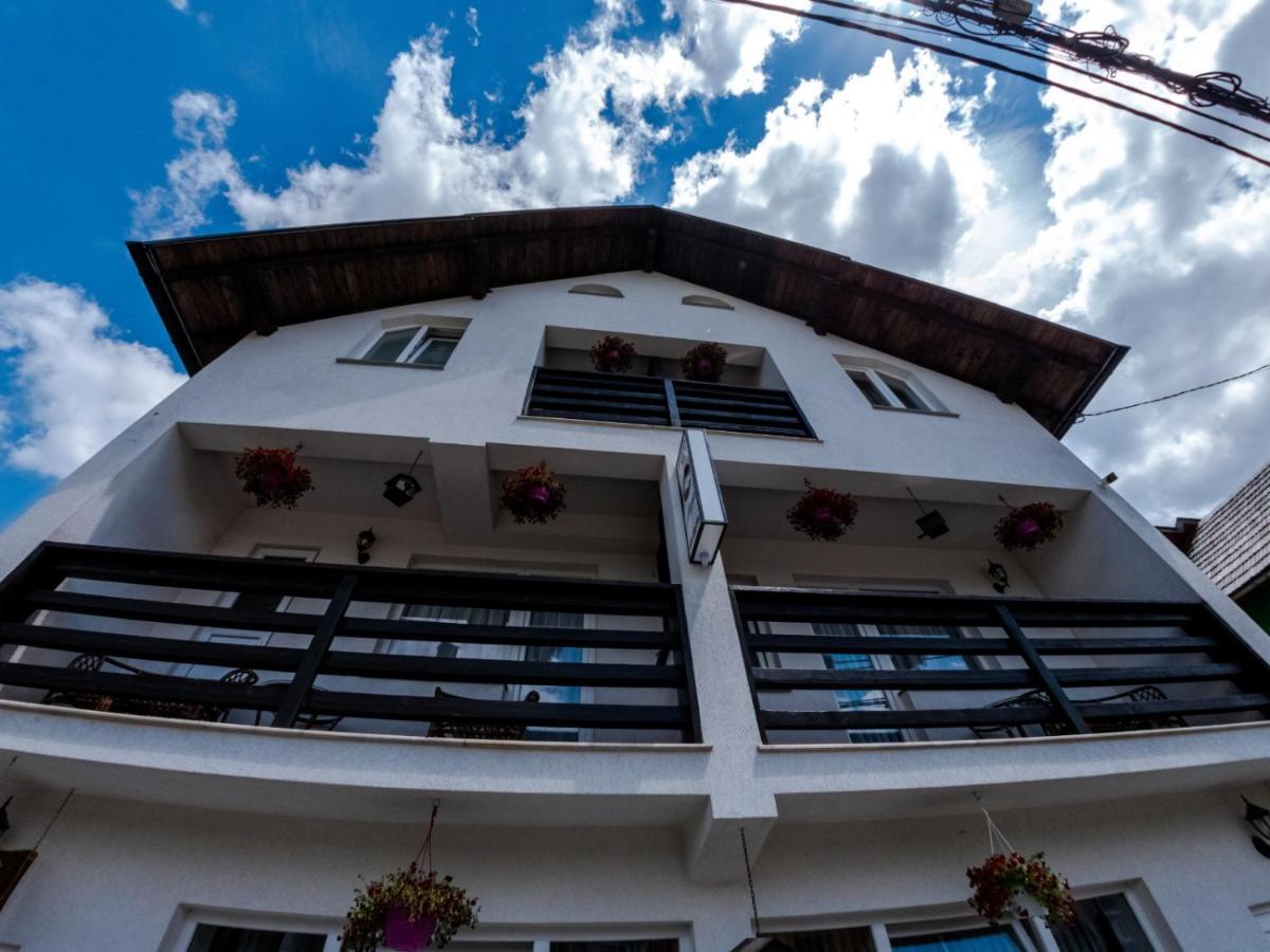 Pensiunea Alyna Borsa  Exterior photo